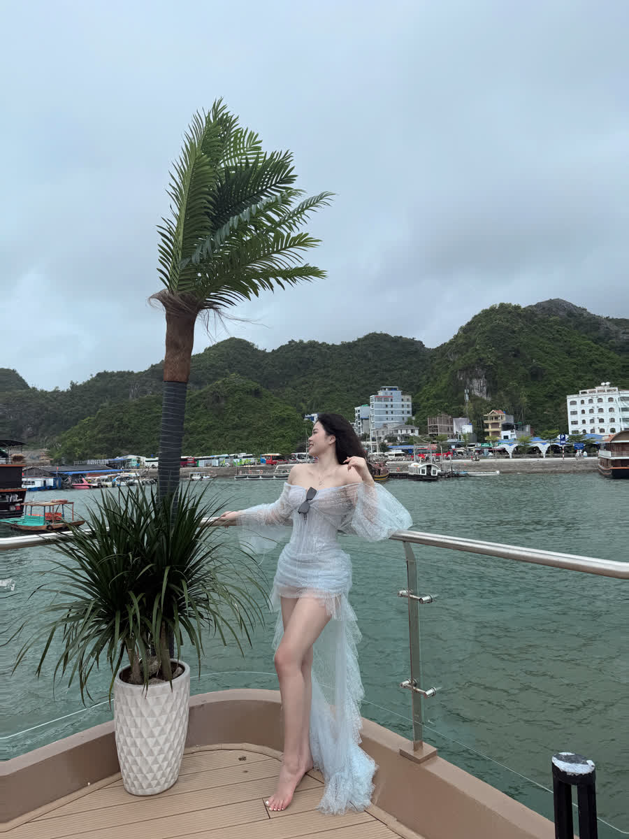 Trực tiếp từ Việt Nam
